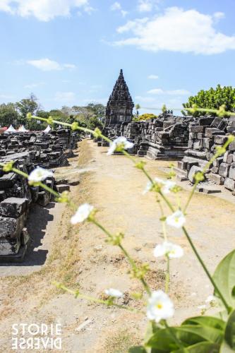 Il tempio Induista del Prambanan